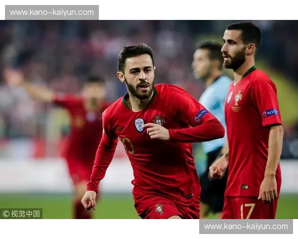 2016欧洲杯：波兰与葡萄牙的史诗对决，一场超越胜负的足球盛宴